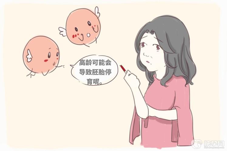 供卵试管婴儿能成功吗_供卵试管婴儿成功率如何?